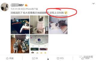 网红吃瓜出轨,揭秘吃瓜群众眼中的出轨风波