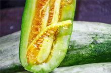 网红的瓜怎么吃,轻松解锁吃瓜技巧